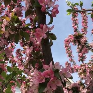 Meet your Posher, Karla